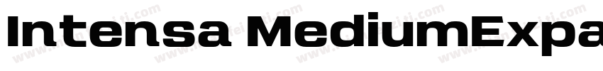 Intensa MediumExpanded字体转换